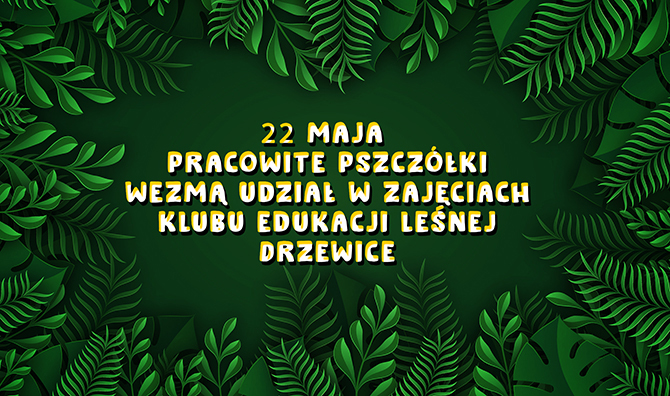 drzewice
