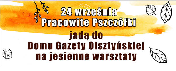 gazeta24